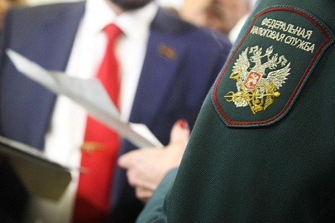 Налоговая будет оценивать компании и ИП по пяти критериям